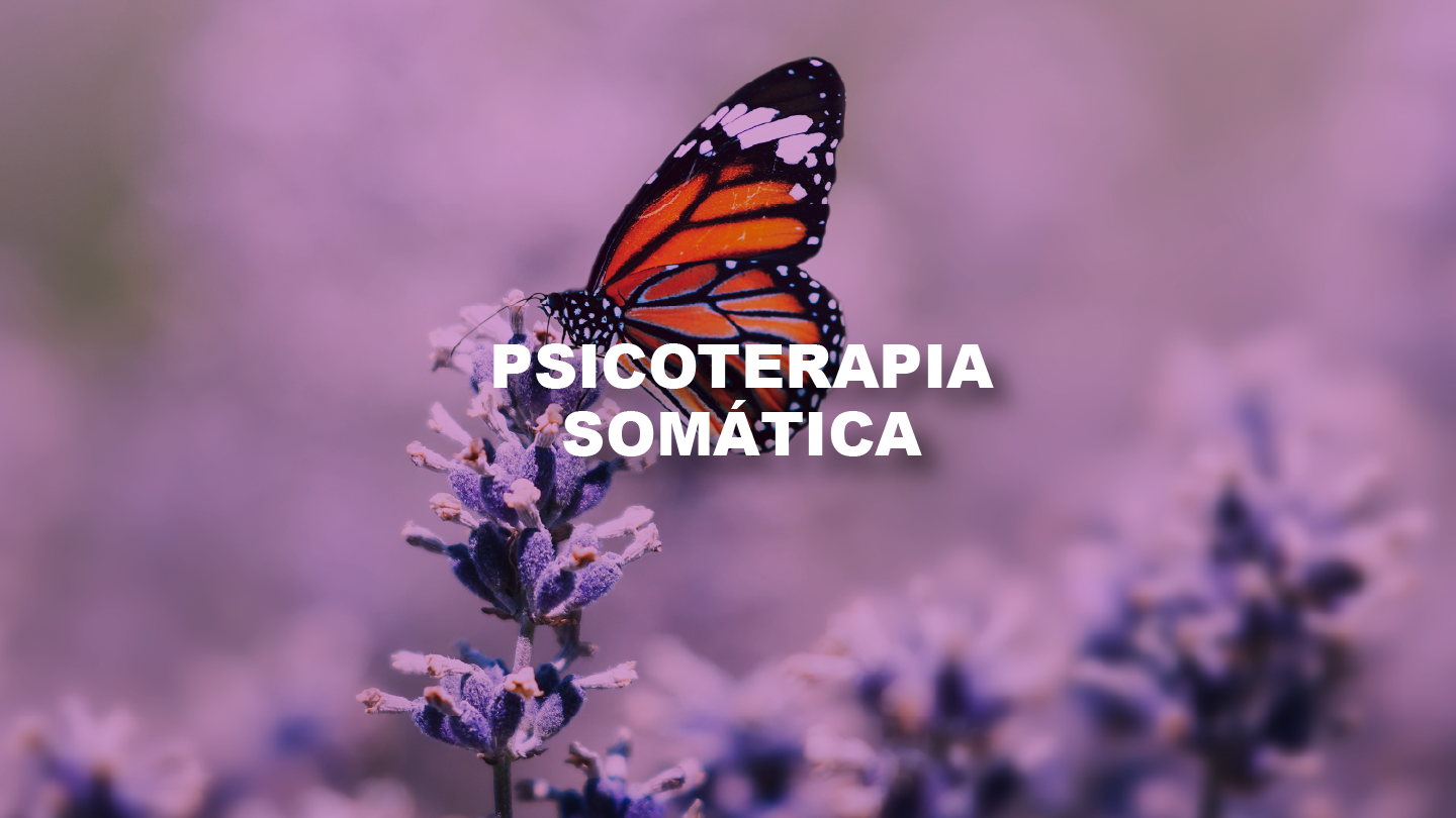 Webinar “Os Caminhos da Psicoterapia Somática”